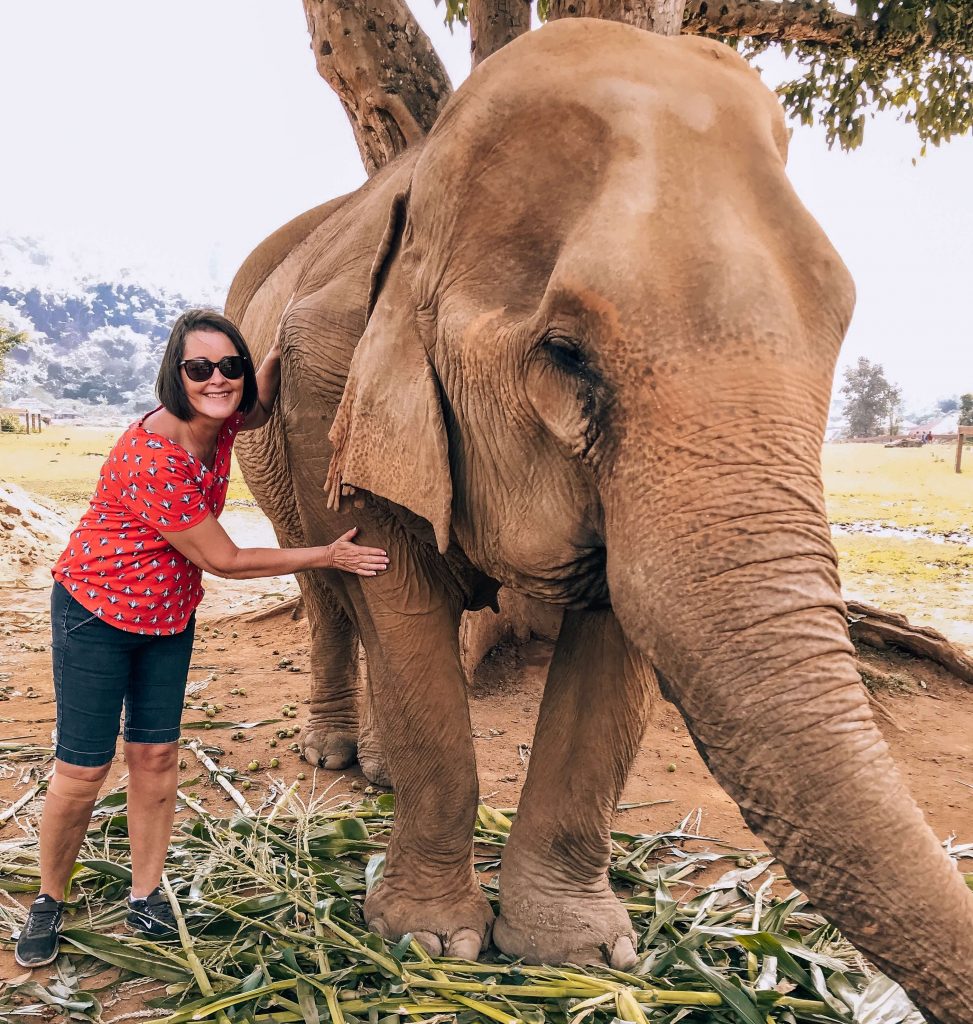 woman petting an elephant in Thailand