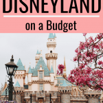 A pinterest graphic on how to visit Disneyland on a budget