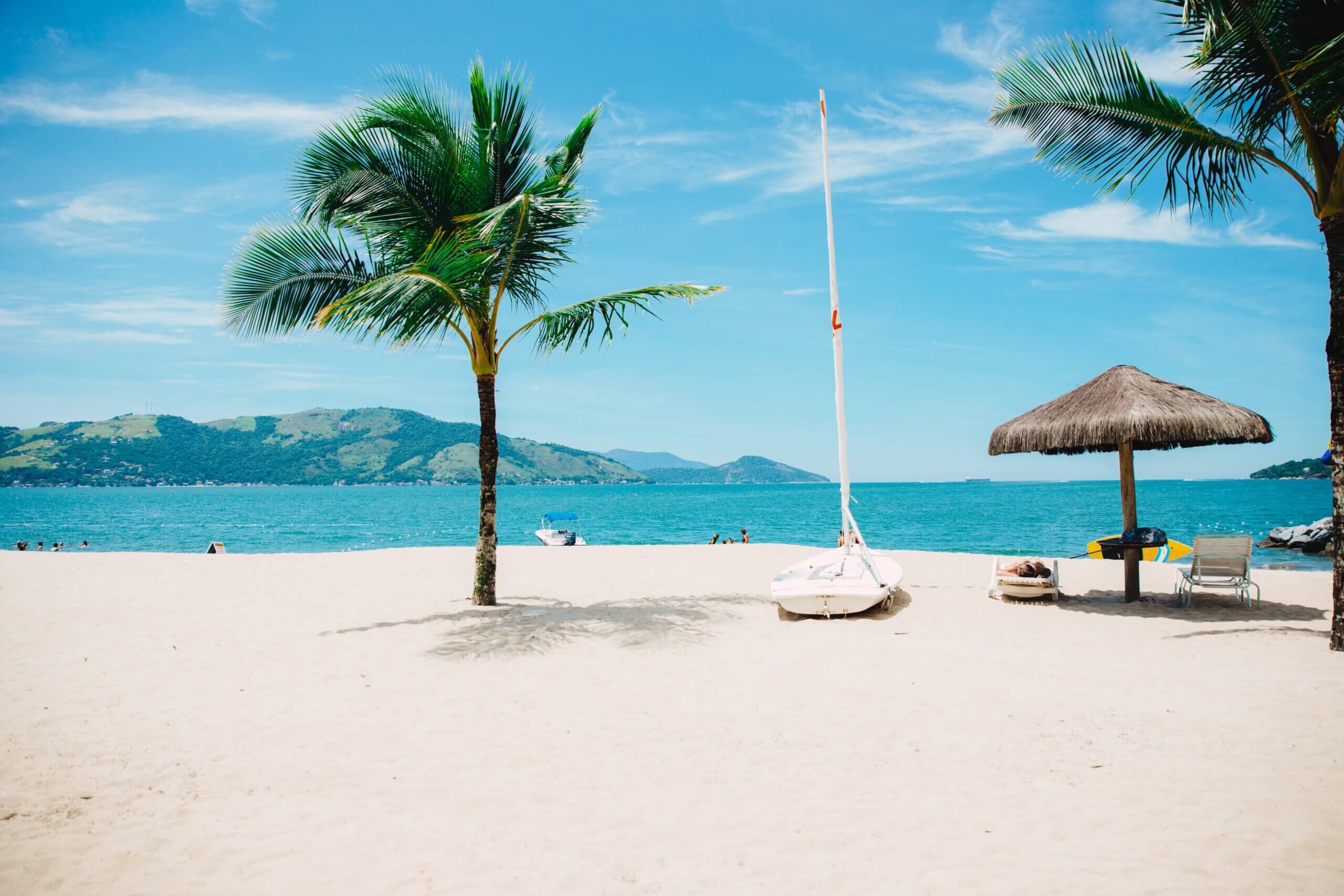 Beach scene with palm tree