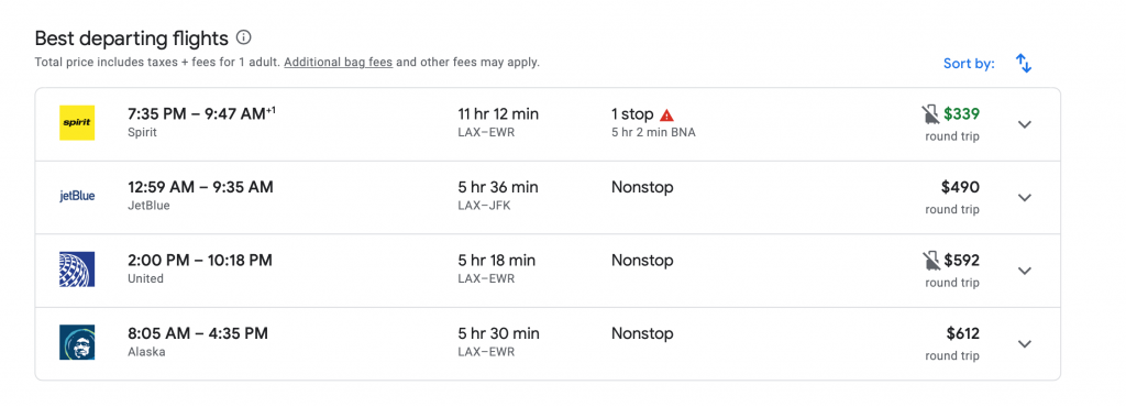 Screenshot of flight options