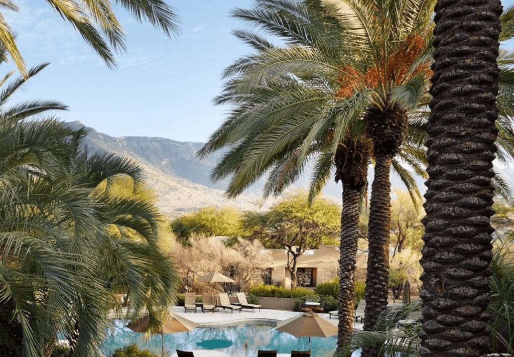 Swimming pool and palm trees 