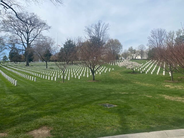 multiple white graves on grass