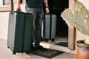 Man holding two suitcases with cactus nearby
