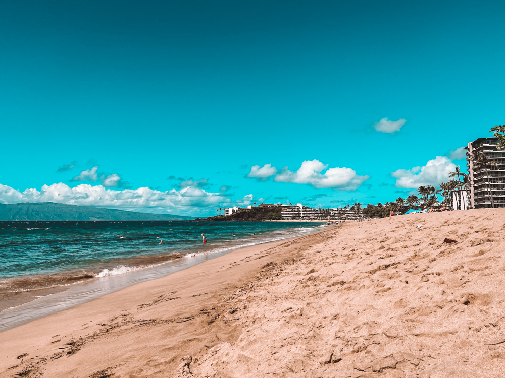 beach and blue waters