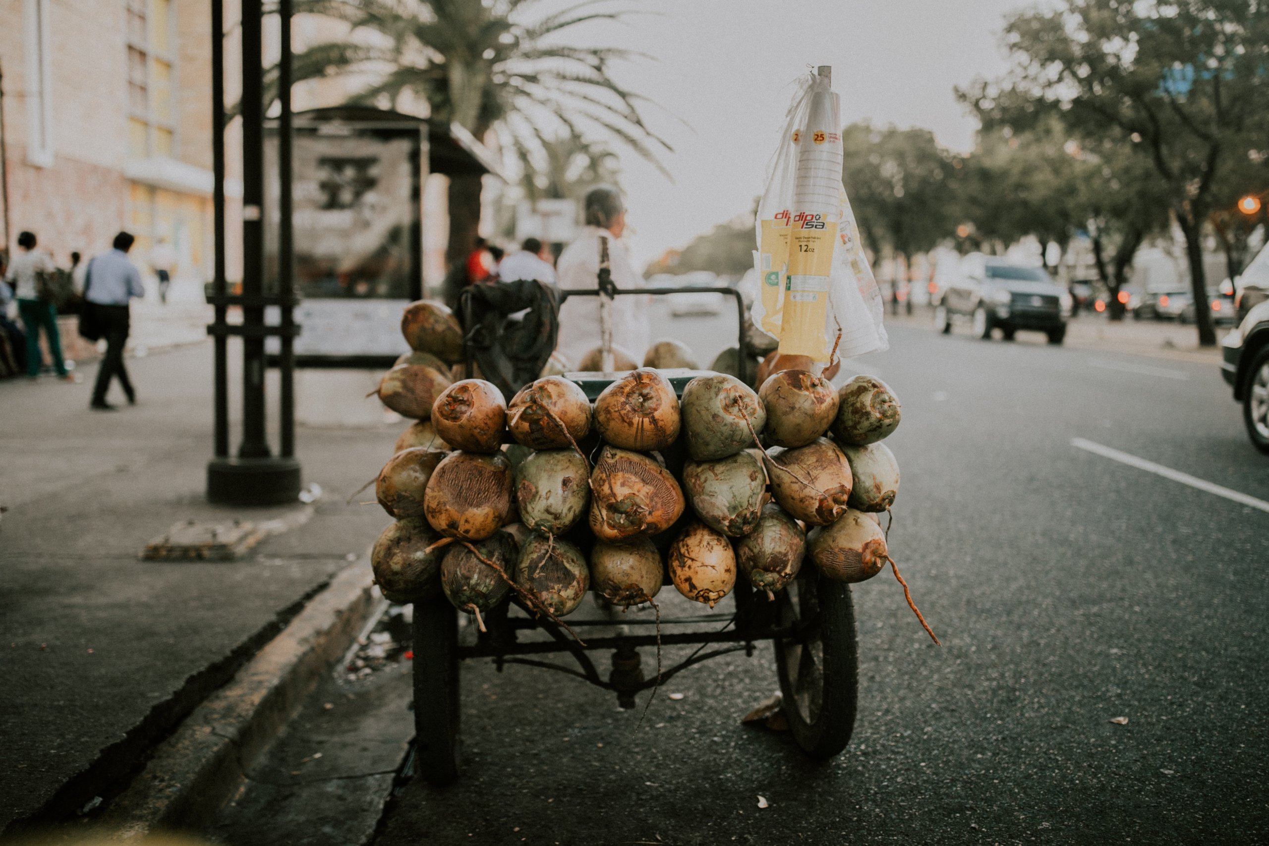 Coconuts on cart in street with palm trees