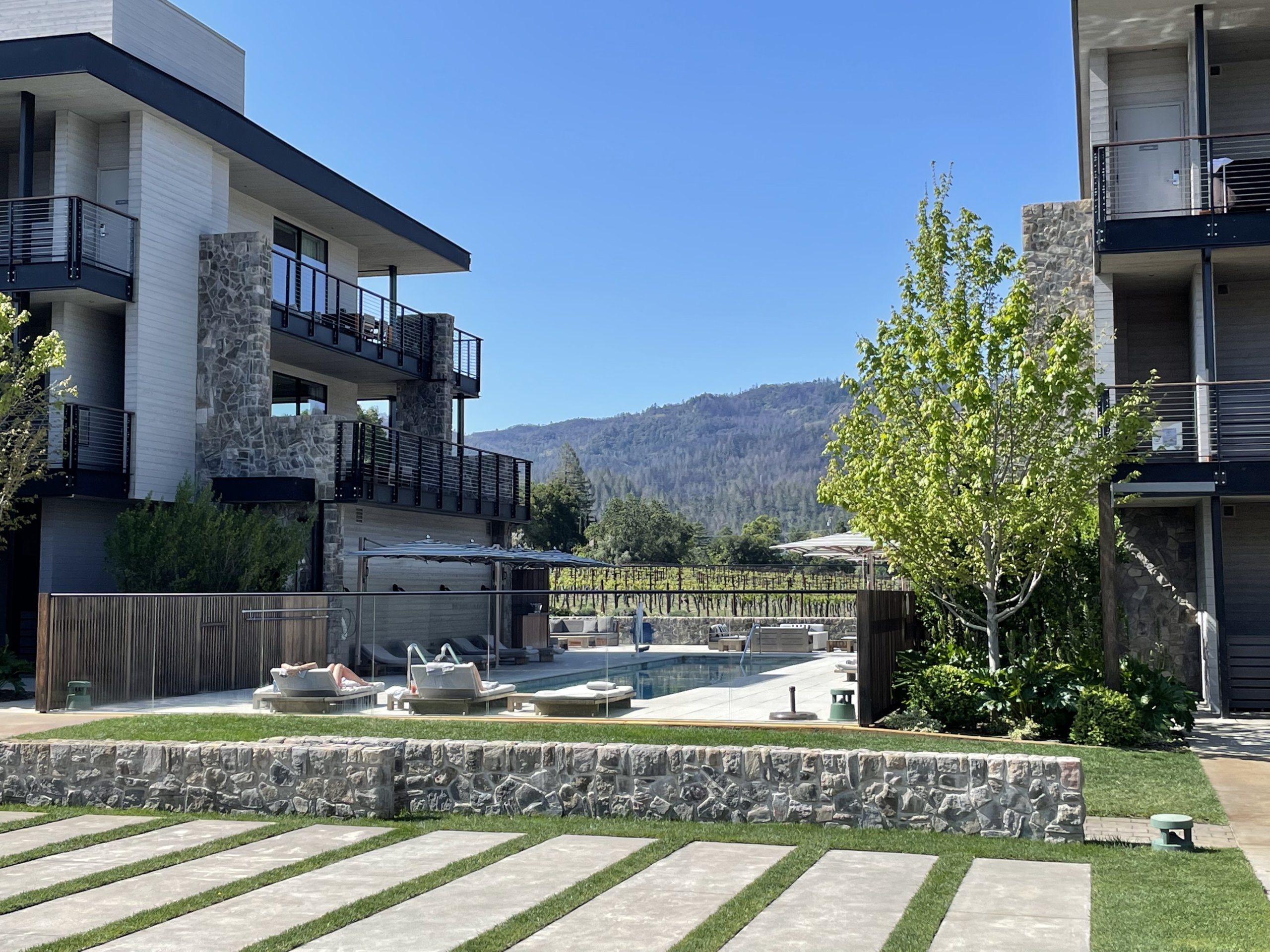 hotel, pool area and vineyards