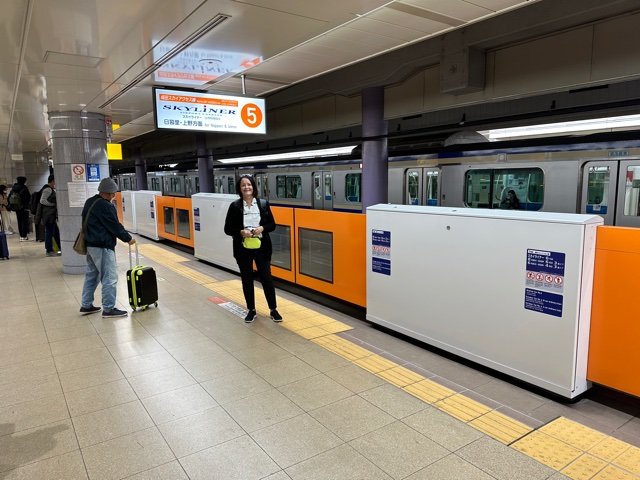 Woman standing in front of train area