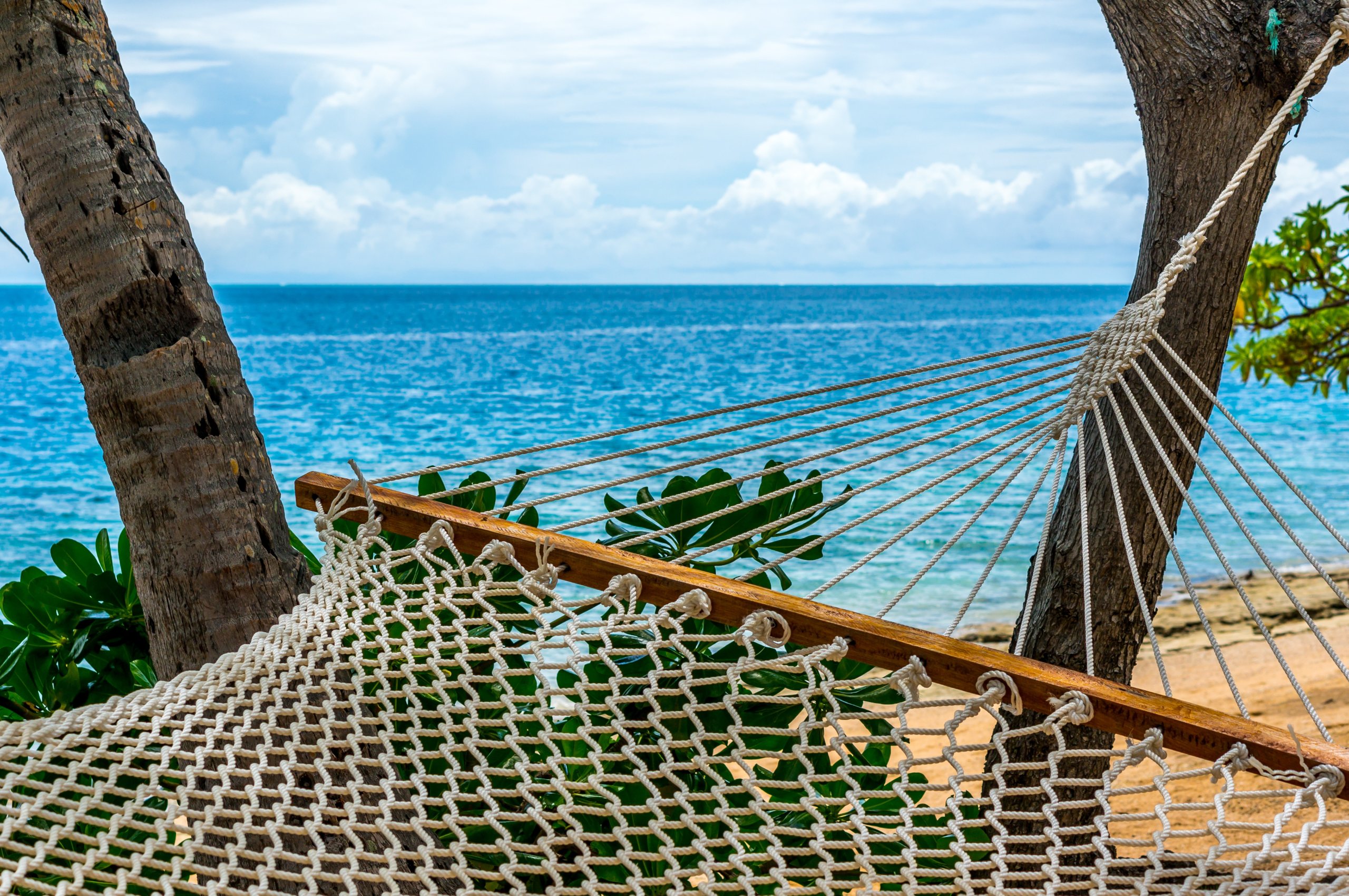 Larg hammock in front of blue water, sand, and palm trees