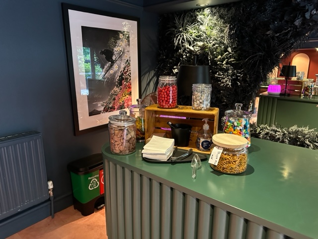 Green counter with treats on it